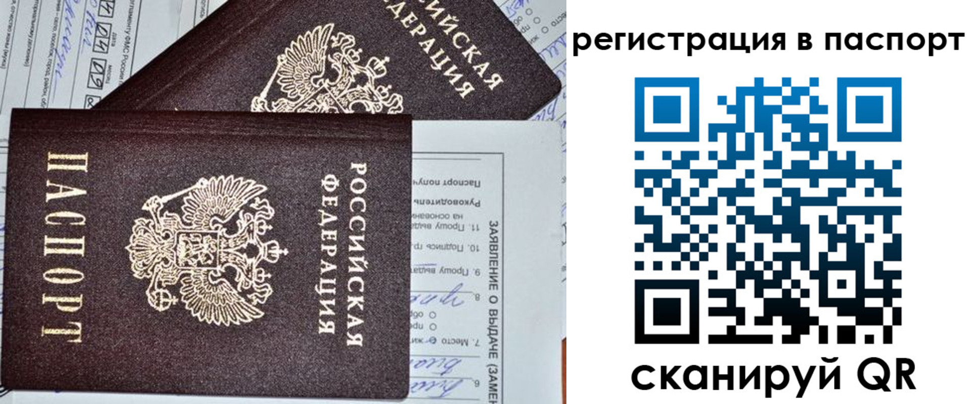 прописка законно в Коломне